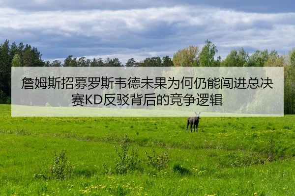 詹姆斯招募罗斯韦德未果为何仍能闯进总决赛KD反驳背后的竞争逻辑（QIUSUSPORTS）